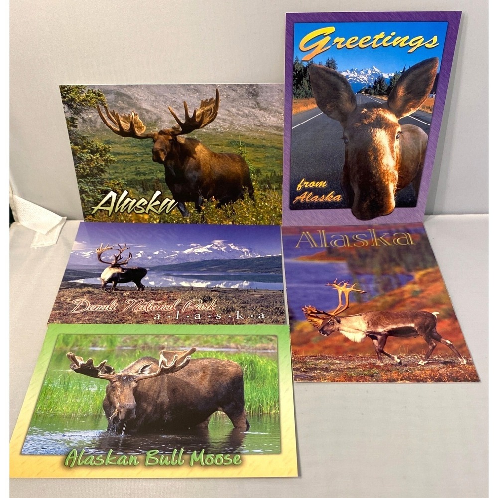 Set Of 5 Alaska Postcards Featuring Moose & Caribou Wildlife Scenes